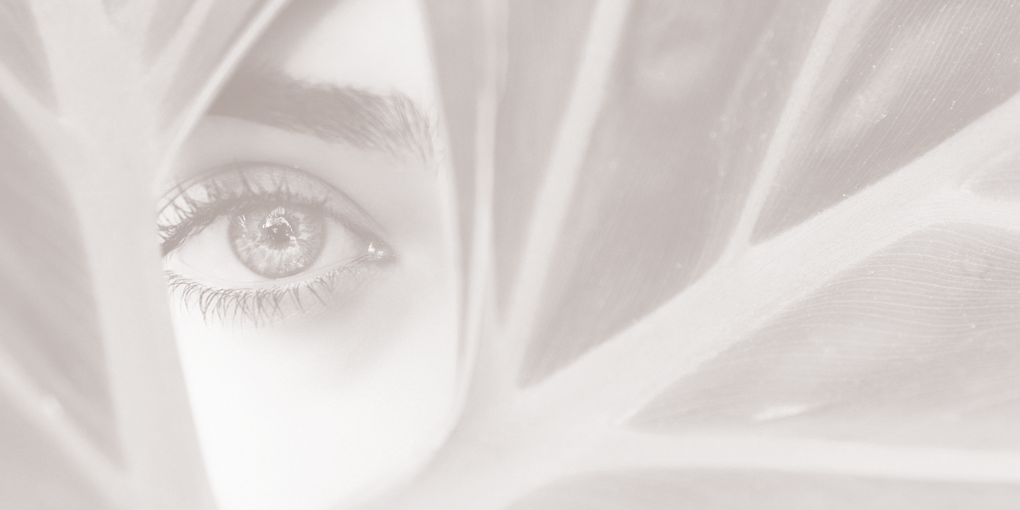 Eyelash Treatments