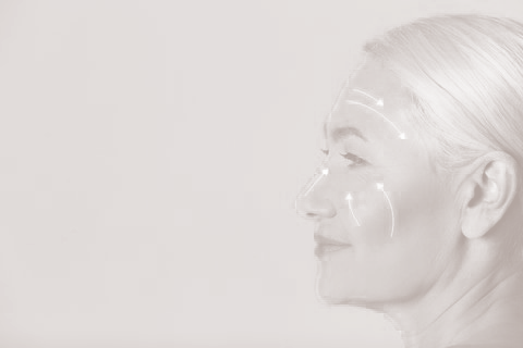 Facelift Necklift